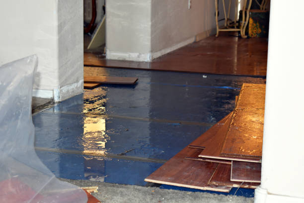 Professional Burst Pipe Cleanup technician working in Kingston, PA