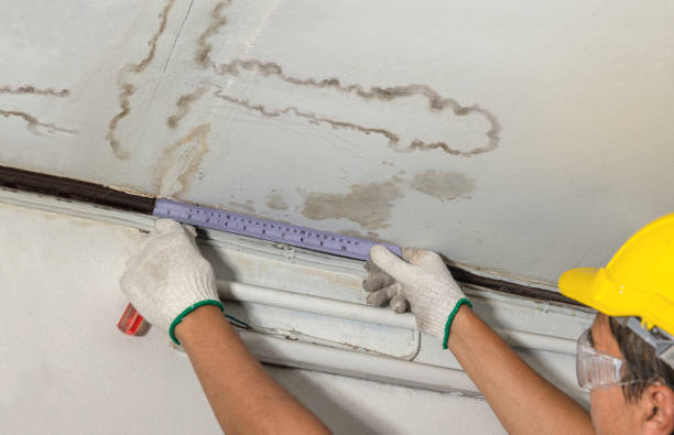 Reliable Burst Pipe Cleanup contractor in Kingston, PA by Water Damage Irwin